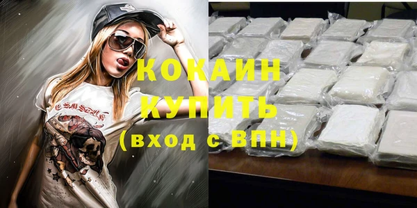 твердый Алзамай