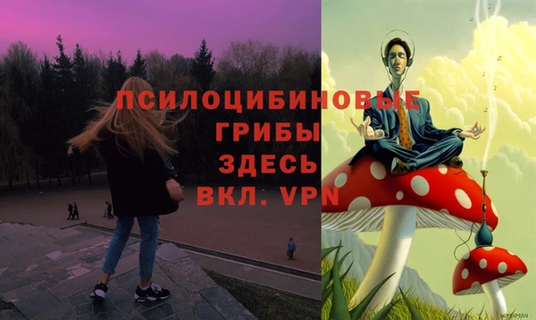 твердый Алзамай