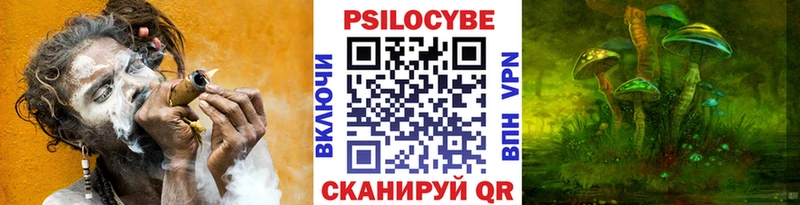 omg онион  Лесосибирск  Псилоцибиновые грибы MAGIC MUSHROOMS 