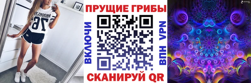 Галлюциногенные грибы Cubensis Лесосибирск